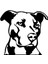 Areksan Sert Bakışlı Köpek Sticker 1