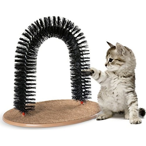 Kaktüs Kedi Kedi Tırmalama Masaj Kaşınma Tahtası 711179 Fiyatı