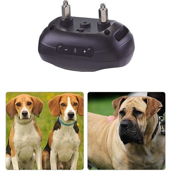 Peta Havlama Tasması Petainer 681S Son Sistem Şok Köpek Fiyatı
