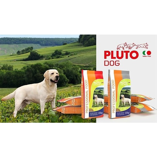 Professional Food Adult Köpek Maması 20 Kg Fiyatı