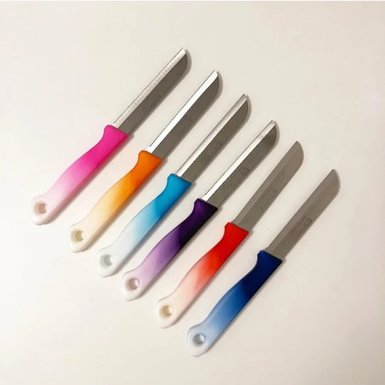 Solingen Meyve Sebze Bıçağı Tırtıklı 6'lı Karışık Renk