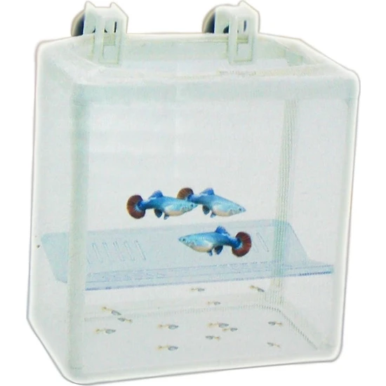 Dophin BB-12 Tül Balık Yavruluk