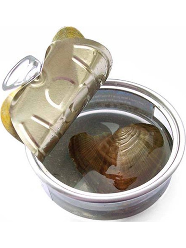 Bundera Perl Gerçek İstiridye İçinde İnci Kolye Konserve