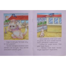10 Kitaplı Pembe Pati Hikaye Seti