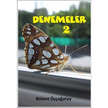 Denemeler 2