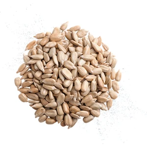 Ayçekirdek Içi (Tombul) (1 Kg)