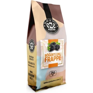 Böğürtlenli Frappe Tozu 250G