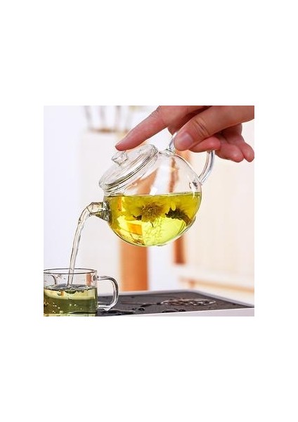 200 ml Şeffaf Cam Çaydanlık Isıya Dayanıklı Kung Fu Çay Seti Mini Küçük Çay Potu Filtre Puerh Çaydanlıklı Ev Çay Su Isıtıcısı | Çaydanlıklar