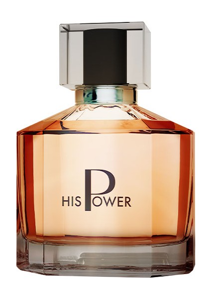 Hıs Power Parfüm Edp Erkek 100 ml