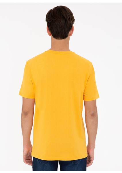 Bisiklet Yaka Regular Fit Sarı Erkek T-Shirt modelleri