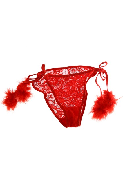 450 Normal Bel Dantel Kırmızı Kadın Bikini Külot