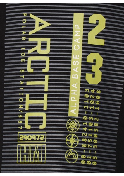 Baskılı Siyah Erkek T-Shirt 911580-2001 Hmlgorm T-Shırt S/s fırsatları