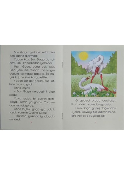 10 Kitaplı Pembe Pati Hikaye Seti