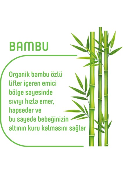 Pure Baby Organik Bambu Özlü Külot Bez 3'lü Paket 4 Numara Maxi 144 Adet