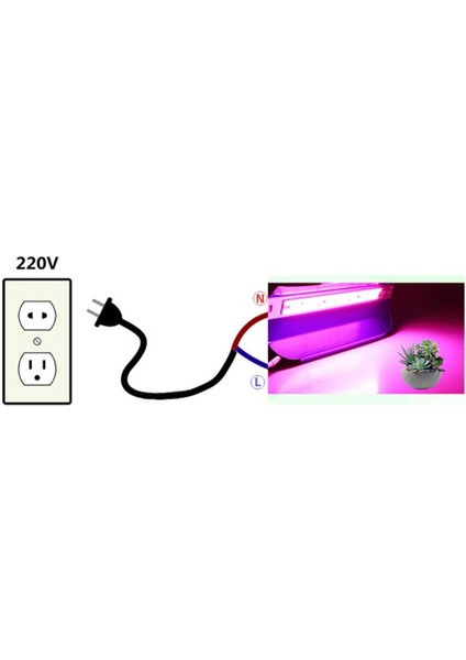 Tam Spektrum Fito Bitki  Büyütme LED Işık 50W Ac 220V 180° Ip 65 Su Geçirmez