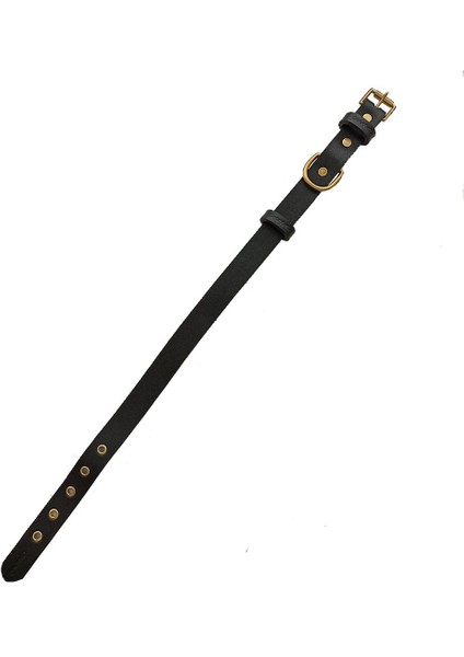 Tengri Handmade Deri Köpek Tasması Siyah L (46-55 Cm) Cl-Te-Bl-M