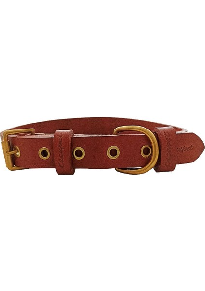 Tengri Handmade Deri Köpek Tasması Açık Kahve L (46-55 Cm) Cl-Te-T-L