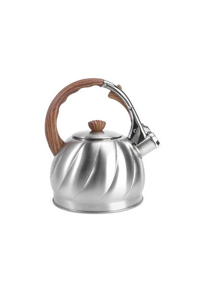 Islık Çay Su Isıtıcısı Paslanmaz Çelik Su Kettle Islık Çaydanlık | Su Isıtıcılar