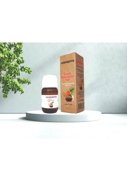 Tropik Buhurdanlık Yağı 20 ml /  Esansiyel Uçucu Yağ / Aroma Terapi Yağı / Ortam Kokusu