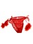 450 Normal Bel Dantel Kırmızı Kadın Bikini Külot 1
