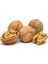 Maraş Jumbo Yerli CEVIZ1KG 1