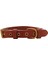 Tengri Handmade Deri Köpek Tasması Açık Kahve L (46-55 Cm) Cl-Te-T-L 1