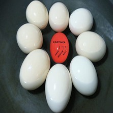 Tamu Yumurta Zamanlayıcı Yumurta Haşlama