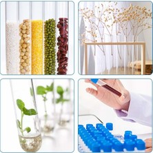 Cansares Deney Tüpü Plastik Kapaklı 16X100MM Test Tüpü Pinterest Deney Tüpü 3 Adet