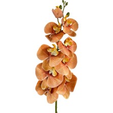 Nettenevime Yapay Çiçek Somon Rengi Islak Orkide Uzun Dal 90 cm Orkide