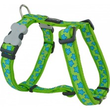 Reddingo Lime Üzerine Turkuaz Yıldızlı Köpek Göğüs Tasması L /25MM