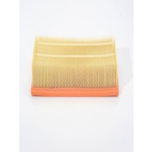 BOSCH 1987429404 Hava Filtresi Caddy Golf V VI VII Jetta Passat Scirocco Sharan Tiguan Touran A1 A3 Q3 Tt Alhambra Octavia Superb Yeti Toledo (WC236445A)