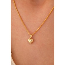 Sefa Gold 14 Ayar Altın Kalp Küp Zincir Kolye