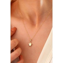 Sefa Gold 14 Ayar Altın Yıldız Forze Zincir Kolye