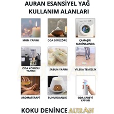 Auran Portakal Esansiyel Uçucu Koku Yağı Buhurdanlık Yağı Difüzör Esansı Hobi Esans Ortam Oda Kokusu 10ml