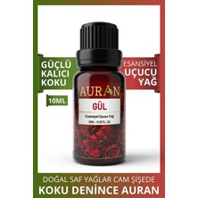 Auran Gül Esansiyel Uçucu Koku Yağı Buhurdanlık Yağı Difüzör Esansı Hobi Esans Ortam Oda 10ml