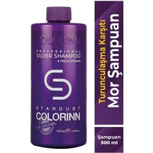 Colorinn Stardust Silver Mor Şampuan 500 Ml