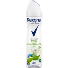 Rexona Stay Fresh Kadın Sprey Deodorant 150 ml