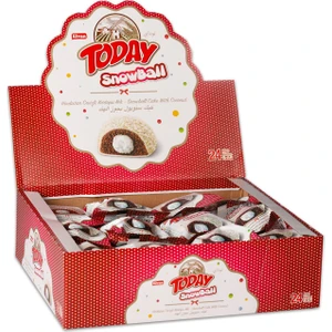 Today Snowball Hindistan Cevizli Kek 45 gr 24 Adet (1 Kutu)