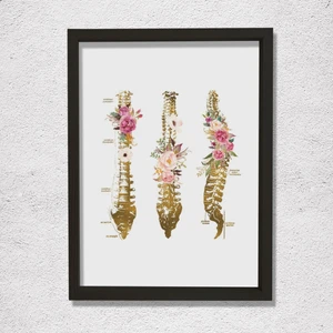 Omurga Sanatsal Baskı, Fizyoterapist Ofis Dekoru