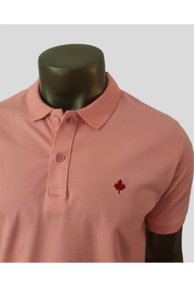 2B1D Erkek Polo Yaka Kısakol Tshirt