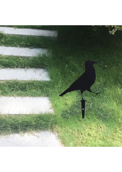 Duvar Sticker (Yurt Dışından) modelleri