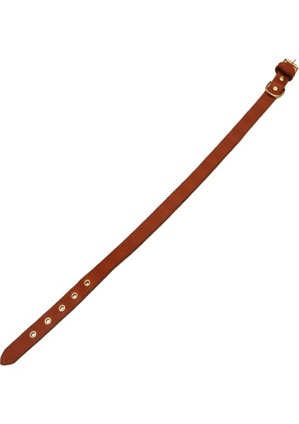 Tengri Handmade Deri Köpek Tasması Siyah L (46-55 Cm) Cl-Te-Bl-M