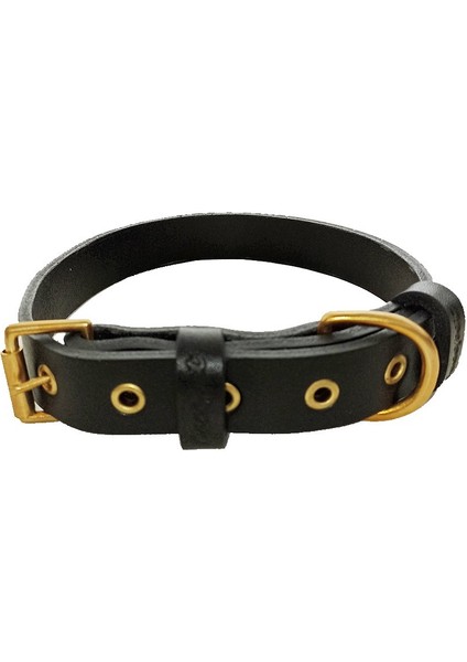 Tengri Handmade Deri Köpek Tasması Siyah L (46-55 Cm) Cl-Te-Bl-M