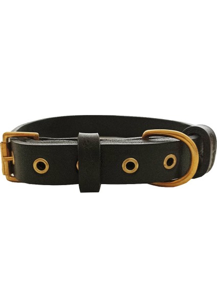 Tengri Handmade Deri Köpek Tasması Siyah L (46-55 Cm) Cl-Te-Bl-M