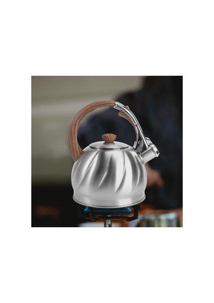Islık Çay Su Isıtıcısı Paslanmaz Çelik Su Kettle Islık Çaydanlık | Su Isıtıcılar