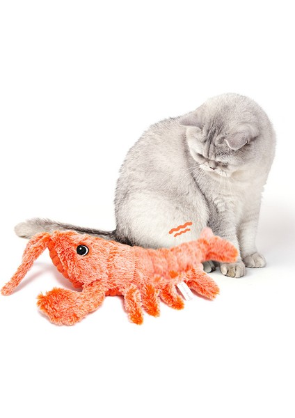 USB Şarj Edilebilir Istakoz Şeklinde Kedi Oyuncağı - Pembe (Yurt Dışından)