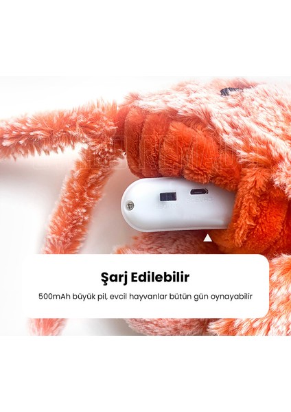 USB Şarj Edilebilir Istakoz Şeklinde Kedi Oyuncağı - Pembe (Yurt Dışından)