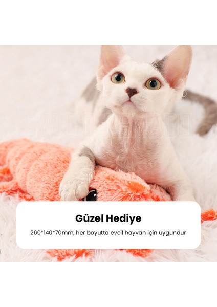 USB Şarj Edilebilir Istakoz Şeklinde Kedi Oyuncağı - Pembe (Yurt Dışından)