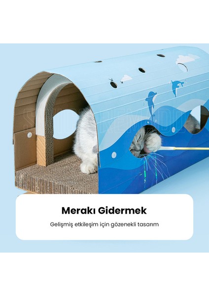 Oluklu Kedi Tüneli Kedi Oyuncakları - Mavi (Yurt Dışından)