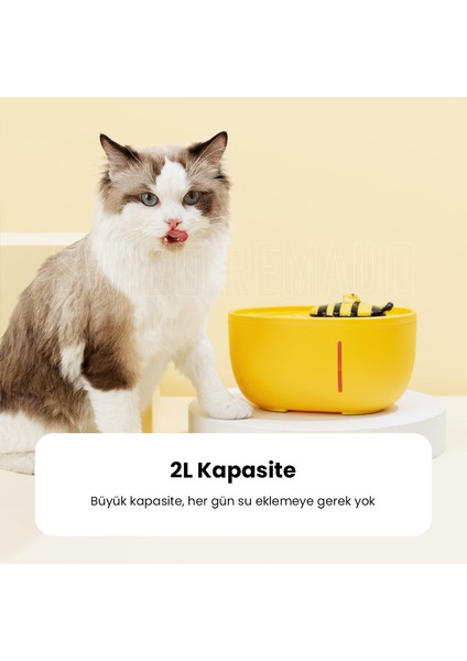 2l Filtre Fonksiyonlu Otomatik Pet Su Sebili - Sarı (Yurt Dışından) fiyatları